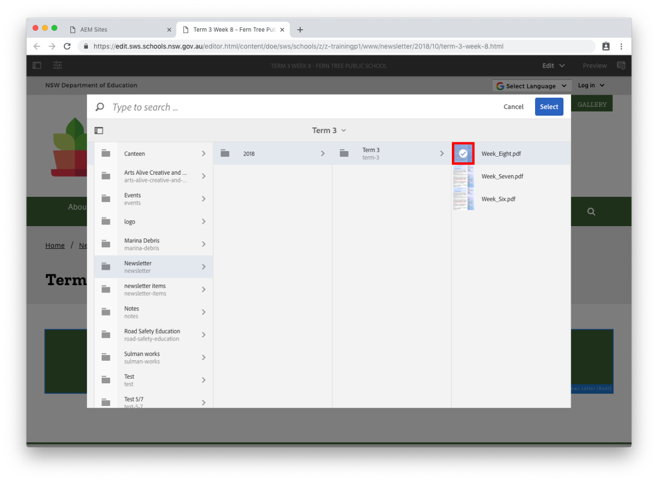 Newsletter component configure type tab file column popup